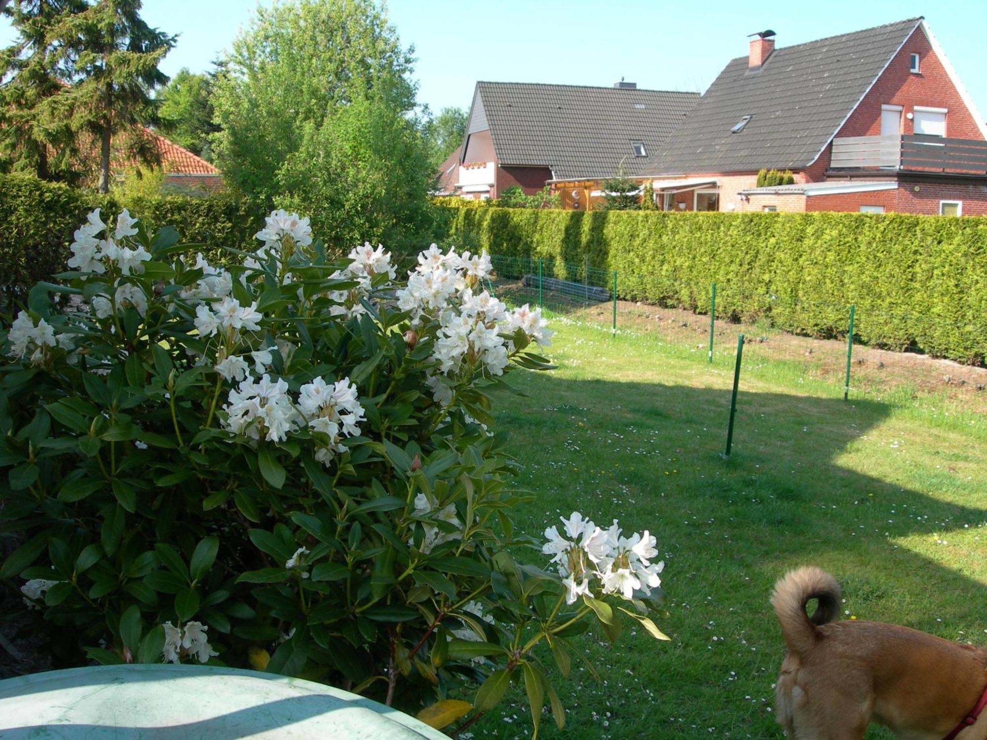 Appartements Krueger Hage Exterior photo